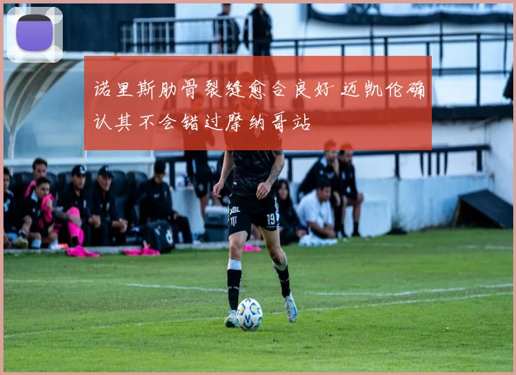 诺里斯肋骨裂缝愈合良好 迈凯伦确认其不会错过摩纳哥站